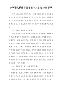 小学语文教师年度考核个人总结2023多章