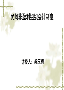 民间非营利组织会计制度57806432