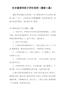 对乡镇领导班子评价范例（最新5篇）