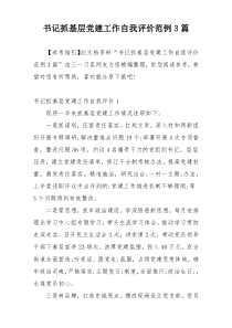 书记抓基层党建工作自我评价范例3篇