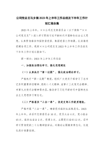 公司党总支与乡镇2023年上半年工作总结及下半年工作计划汇报合集