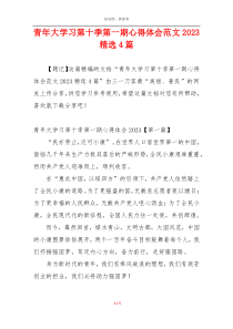 青年大学习第十季第一期心得体会范文2023精选4篇