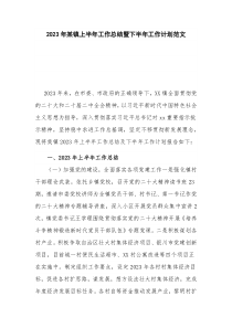 2023年某镇上半年工作总结暨下半年工作计划范文