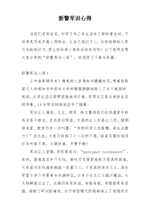 新警军训心得