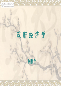 政府经济学