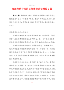 市场营销分析的心得体会范文精编2篇