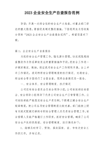 2023企业安全生产自查报告范例