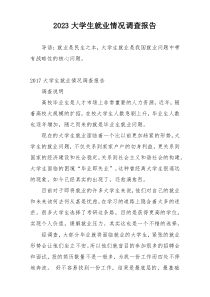 2023大学生就业情况调查报告