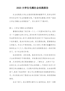 2023大学生毛概社会实践报告