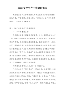 2023安全生产工作调研报告