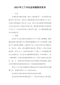 2023年三下乡社会实践报告范本