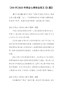[300字]2023年两会心得体会范文【4篇】