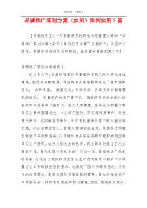 品牌推广策划方案（实例）案例实用3篇