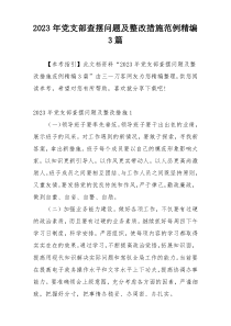 2023年党支部查摆问题及整改措施范例精编3篇
