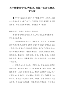 关于辅警大学习,大练兵,大提升心得体会范文3篇