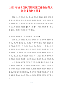 2023年技术员试用期转正工作总结范文报告【范例5篇】