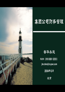普华永道-集团财务管理
