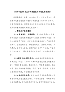 2023年度XX县关于巡察整改阶段进展情况报告