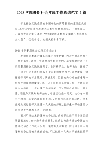 2023学院暑期社会实践工作总结范文4篇