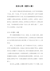 实训心得（通用4篇）