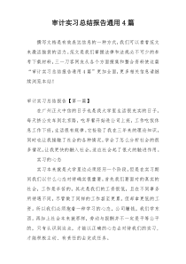 审计实习总结报告通用4篇