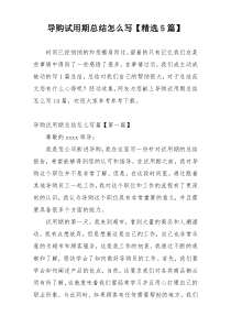 导购试用期总结怎么写【精选5篇】