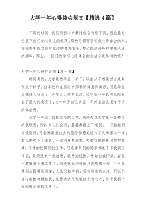 大学一年心得体会范文【精选4篇】