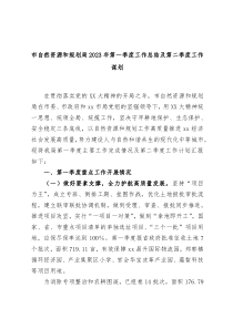 市自然资源和规划局2023年第一季度工作总结及第二季度工作谋划