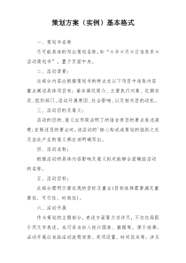 策划方案（实例）基本格式