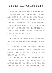 关于信用社上半年工作总结范文范例推选