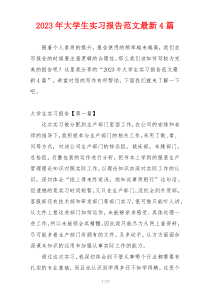 2023年大学生实习报告范文最新4篇