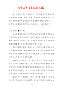 大学生实习【实用5篇】
