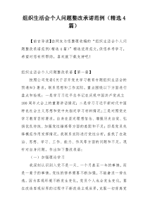 组织生活会个人问题整改承诺范例（精选4篇）