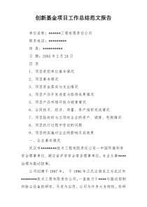 创新基金项目工作总结范文报告