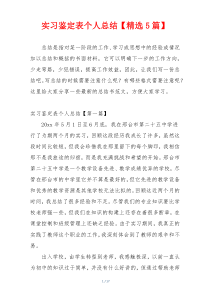 实习鉴定表个人总结【精选5篇】