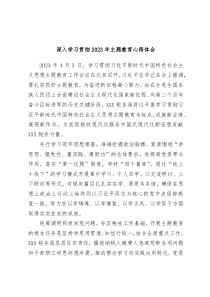 深入学习贯彻2023年主题教育心得体会