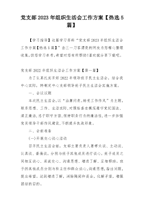 党支部2023年组织生活会工作方案【热选5篇】