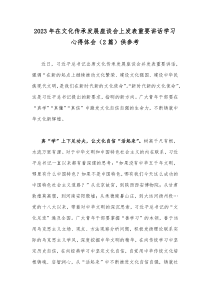 2023年在文化传承发展座谈会上发表重要讲话学习心得体会（2篇）供参考