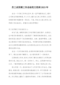 员工试用期工作总结范文范例2023年