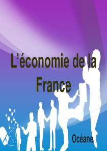 法国经济法语版