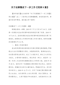 关于巡察整改下一步工作【范例8篇】