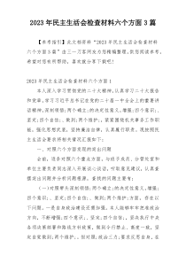 2023年民主生活会检查材料六个方面3篇