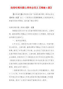 违规吃喝问题心得体会范文【精编4篇】