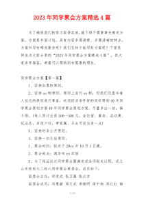 2023年同学聚会方案精选4篇