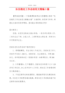 队伍稳定工作总结范文精编3篇