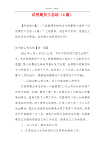 试用期员工总结（4篇）