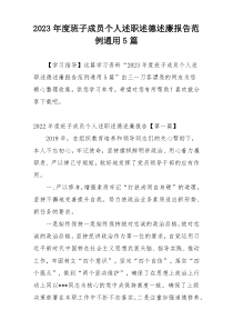 2023年度班子成员个人述职述德述廉报告范例通用5篇