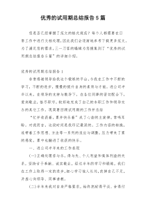 优秀的试用期总结报告5篇