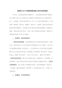 局党组2023年度抓基层党建工作半年述职报告