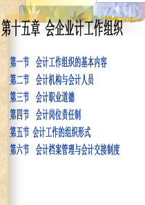 第十五章会计工作组织